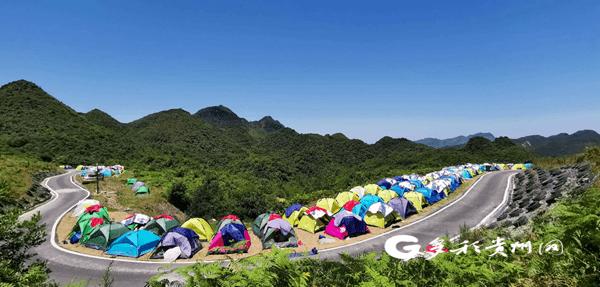 打造差异化产品，创新营销模式 多家旅行社花式出招，入境游复苏按下加速键